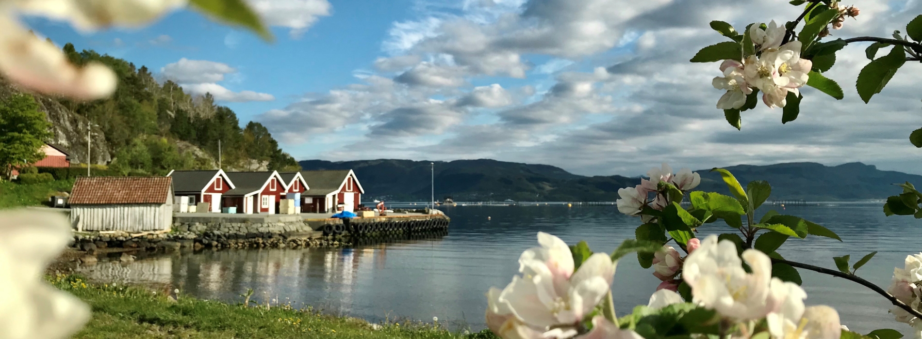 Skiftun Svanhild