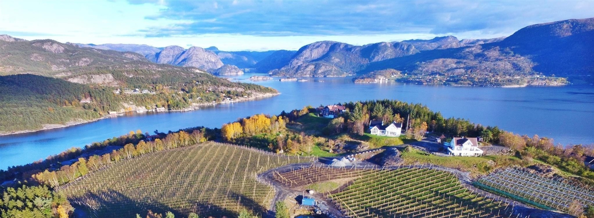 Hjelmeland forsidebilde Trond Helgøy