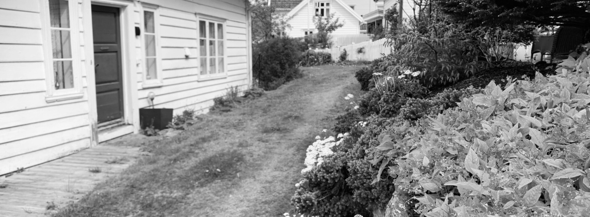 Thumbnail IMG 4518