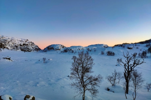 Bjødnabu